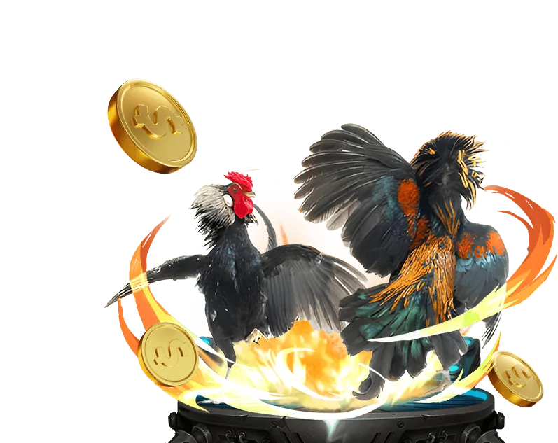 Tổng quan về nền tảng đá gà trực tuyến PKWIN